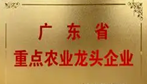 鄉(xiāng)村振興再添力量！66家佛山企業(yè)獲評省重點(diǎn)農(nóng)業(yè)龍頭企業(yè)