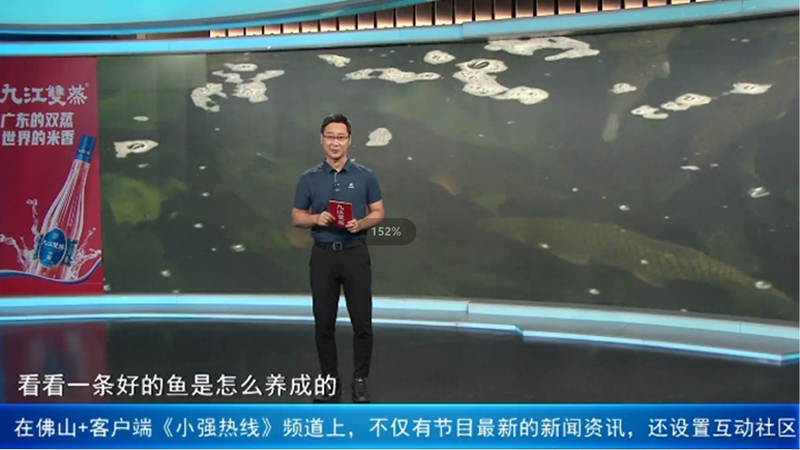 《小強熱線》探訪順德生生農(nóng)業(yè)集團，揭秘一條好的魚是怎么養(yǎng)成的