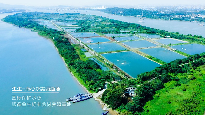 喜訊！生生獲評(píng)“國(guó)家級(jí)水產(chǎn)健康養(yǎng)殖和生態(tài)養(yǎng)殖示范區(qū)”