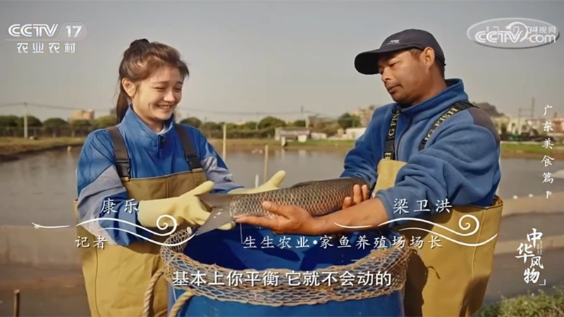 生生農業(yè)集團又雙叒亮相央視！CCTV-17《中華風物》介紹生生草魚