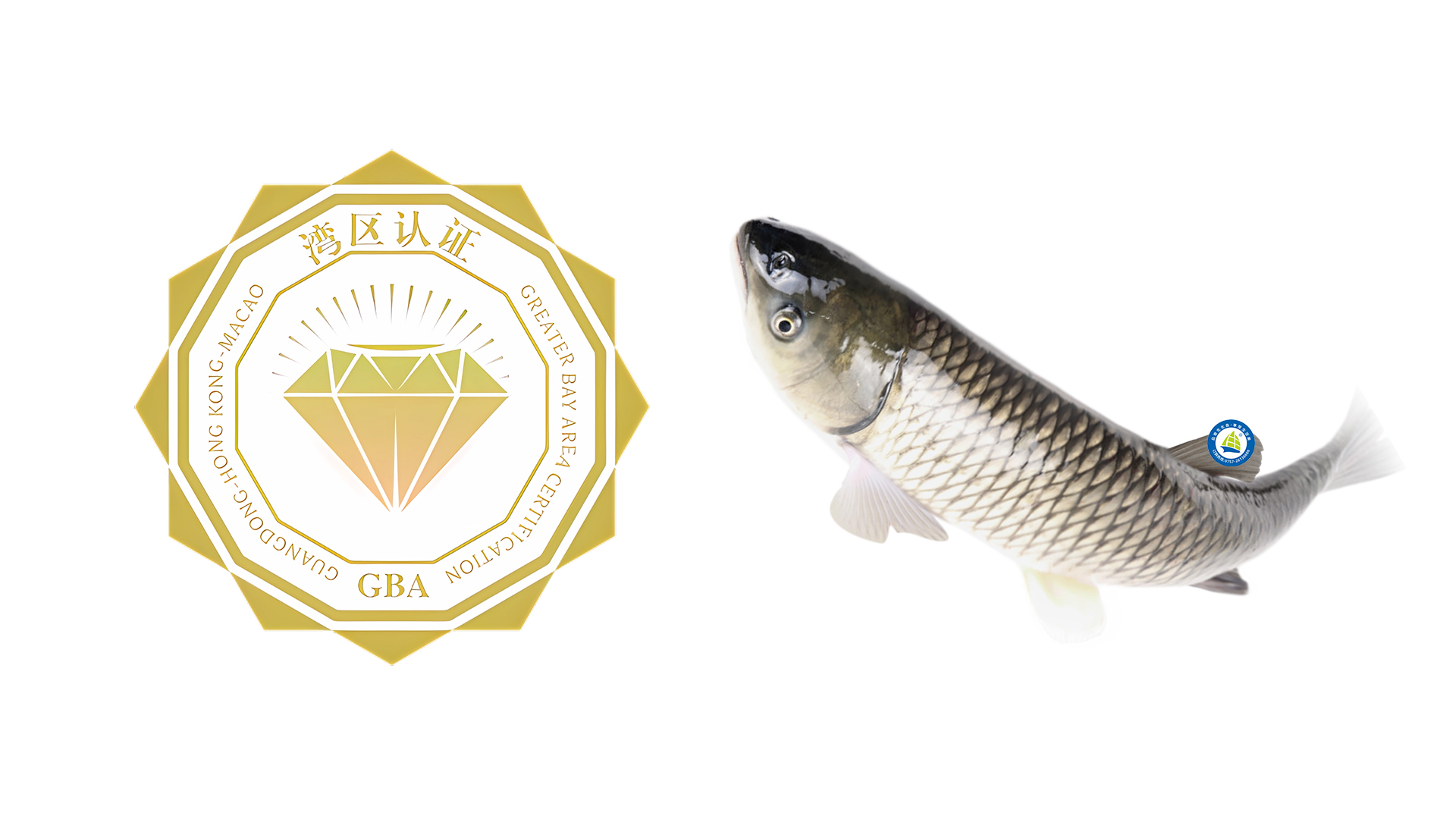 喜獲“灣區(qū)認(rèn)證”——生生珍品鯇獲高品質(zhì)認(rèn)可，可便捷通行大灣區(qū)